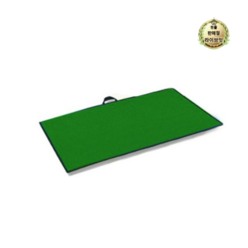 라이브잇 청양토이 벨크로우 자료판(평판), 초록, 1세트