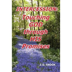 (영문도서) Intercession: Touching GOD through HIS Promises Paperback, Gotham Books, English, 9798887755977