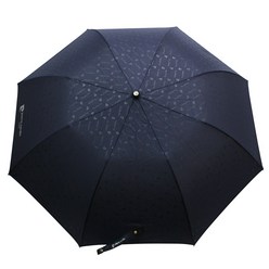피에르가르뎅 엠보 2단 자동우산