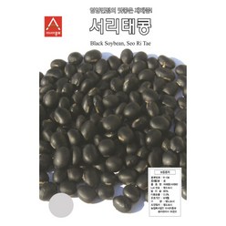 아시아종묘 콩씨앗종자 서리태콩(50g), 1개