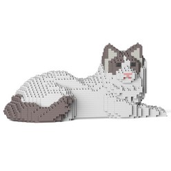 [제카] 랙돌 - 프리미엄 고양이 블럭 - JEKCA, 5. 앉은 랙돌 (바이컬러)