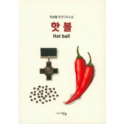 핫 볼(hot ball):이상열 휴먼다큐소설, 두손컴, 이상열