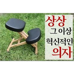 윈디 바른자세교정의자/척추교정의자/무릎의자/학생의자/거북목교정/목디스크예방/일자목교정, 블랙, 1개