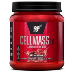 BSN CELLMASS 2.0 Arctic berry 비에스엔 셀매스 495g, 이미지참조, 1세트