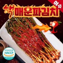 여수 핵 매운 파김치 불파김치 맛있게 매운 실비김치 당일생산 김치맛집 식객 허영만, 1kg, 1개