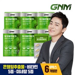 GNM자연의품격 GNM 징코빌로바11 6박스 / 은행잎추출물 비타민B 아연 판토텐산, 30정, 6개