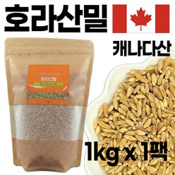 에코홀릭 호라산밀 캐나다산 1kgX1팩 고대곡물 착한탄수화물 + 마스크팩 사은품 증정, 1kg, 1개