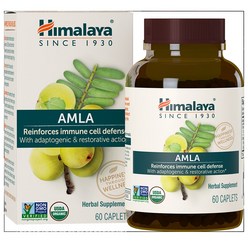 Himalaya Amla 히말라야 암라 60정 2팩