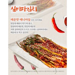 [송미푸드] 화끈하고 맛있게 매운 실비파김치, 500g, 1개