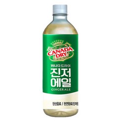 캐나다드라이 진저에일 450ml 12패트, 12개