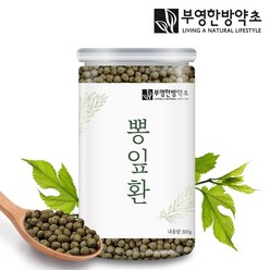 부영한방약초 국산 뽕잎환 300g, 1개