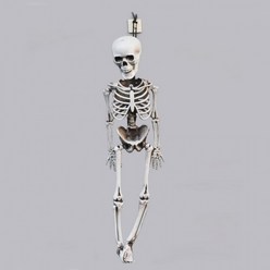 장식 해골 파티 리얼입체전신해골(미니40cm)할로윈, 상세페이지 참조, 상세페이지 참조