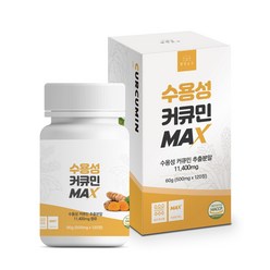 웰빙곳간 수용성 커큐민 MAX 500mg HACCP 식약처 인증, 1개, 120정