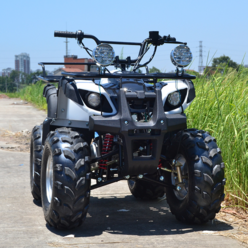 ATV 125cc 엔진 4 륜 산악오프로드 귀농 오토바이 농업 차량 대륙에서 보물 찾기, 패키지 3