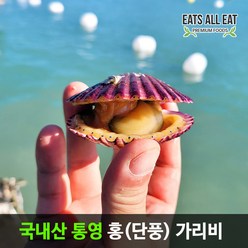 이츠올릿 국산 통영 고흥 고성 홍 가리비 3kg 69미 국내산 비단 제철 음식 조개 구이