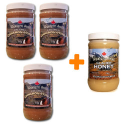 웨스턴세이지 캐나다 석청 빙하 꿀 허니 계피꿀 4병세트+정품증명서 캐나다 직배송, 4통, 1kg