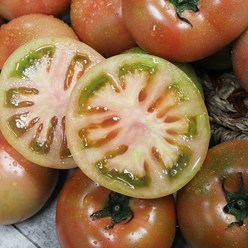 국내산 토마토 동양종 유럽종 완숙토마토 5kg, 국내산 완숙토마토 5kg, 1개