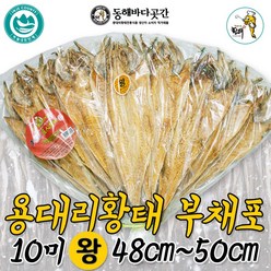 용대리 황태 부채포 10미 (왕) 48cm~50cm, 10마리, 500g
