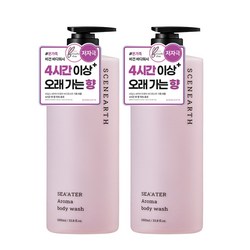 씨널스 씨어터 아로마 퍼퓸 보습 바디워시, 2개, 1L