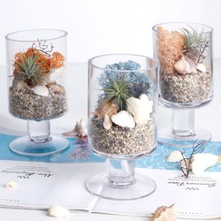 공기정화 천연 가습 DIY 테라리움 틸란드시아 이오난사 스칸디아모스, 일자스탠드 DIY, 퍼시픽그린