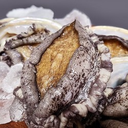 [바다농장] 산지직송 완도활전복, 1개, 2kg(특대 7~8미) 총14~16마리