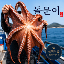 국내산,통영돌문어,생물문어,산지직송,숙회용, 1박스, 3kg