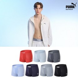 푸마드라이셀