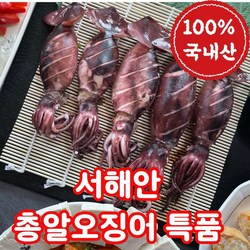 [서해안직송] 국내산 통찜 오징어 미니오징어