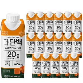 더단백 드링크 카라멜 헬스보충식품, 250ml, 18개