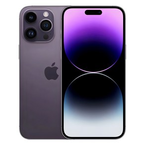 Apple 정품 아이폰 14 Po Max 자급제, 딥퍼플, 256GB