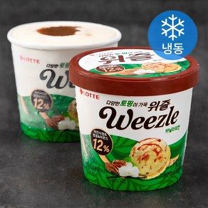 롯데웰푸드 위즐 바닐라피칸 아이스크림 (냉동), 660ml, 2개