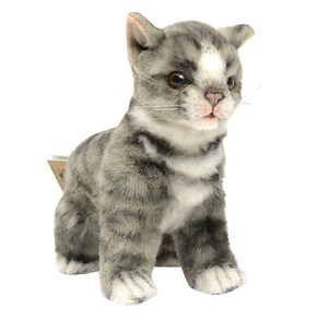 한사토이 Kitten Gay 봉제인형 6493, 18cm, 혼합색상, 1개