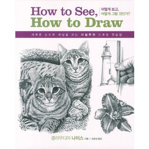 하우 투 씨 하우 투 드로우(How to see How to draw): 어떻게 보고 어떻게 그릴 것인가:새로운 눈으로 세상을 보는 사실주의 드로잉 연습법