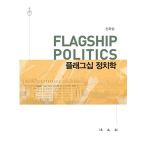 플래그십 정치학