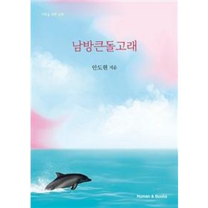 [휴먼앤북스]남방큰돌고래 (어른을 위한 동화), 휴먼앤북스, 안도현