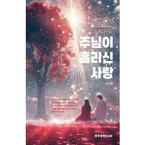 주님이 흘리신 사랑:열여섯 번의 주님과의 천국 동행을 통해 주신 말씀