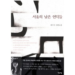서울의 낮은 언덕들:배수아 장편소설, 자음과모음, 배수아 저
