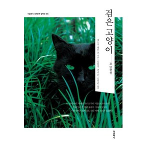 [더클래식]검은 고양이 : 포 단편선 - 더클래식 세계문학 컬렉션 5