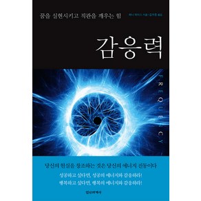 감응력:꿈을 실현시키고 직관을 깨우는 힘