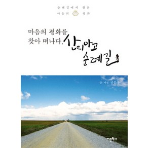 마음의 평화를 찾아 떠나다 산티아고 순례길, 어문학사, 진종구 저