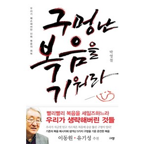 구멍 난 복음을 기워라:우리가 훼손해버린 진짜 복음의 회복, 규장