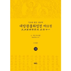 [담앤북스]독송본 한문·한글역 대방광불화엄경 제11권 : 6 비로자나품 (양장), 담앤북스