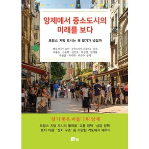 앙제에서 중소도시의 미래를 보다:프랑스 지방 도시는 왜 활기가 넘칠까, 미세움, 뱅상 후지이 유미