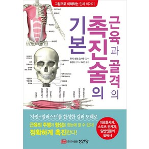 근육과 골격의 촉진술의 기본:의료종사자 스포츠 관계자 일반인들의 필독서, 성안당, 후지나와 오사무