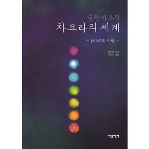 [내일을여는책]쿨한 바보의 차크라의 세계 : 참나로의 여행, 내일을여는책, 김우형