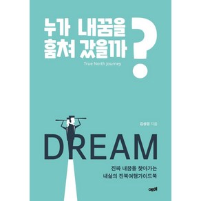 [예미]누가 내꿈을 훔쳐 갔을까? : 진짜 내꿈을 찾아가는 내삶의 진북여행가이드북, 예미, 김상경