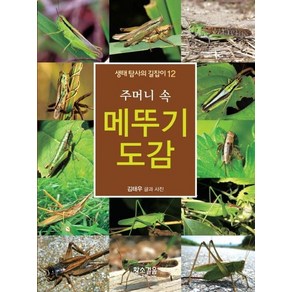 [황소걸음]주머니 속 메뚜기 도감 - 생태 탐사의 길잡이 12