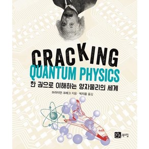 [북스힐]한 권으로 이해하는 양자물리의 세계 (CRACKING QUANTUM PHYSICS)