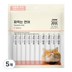 무마진 고양이 짜먹는 간식 40p, 연어, 480g, 5개