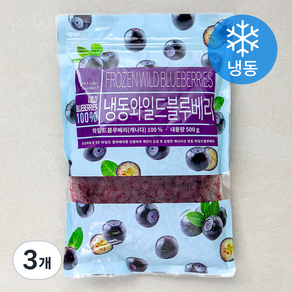 캐나다산 와일드블루베리 (냉동), 500g, 3개